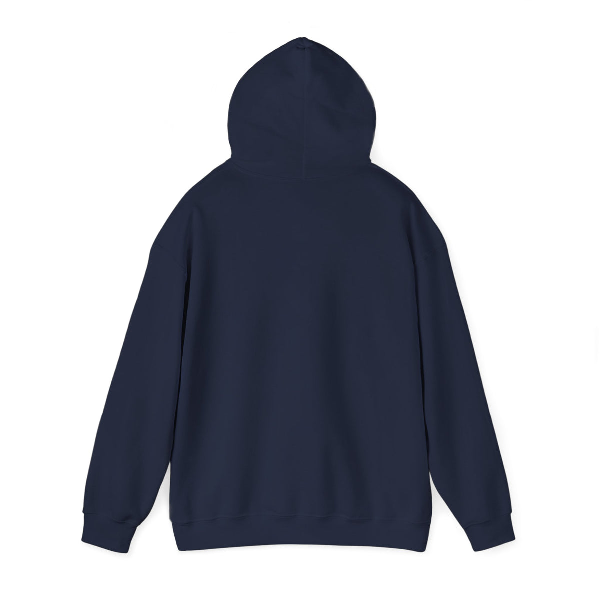 Lake Ontario North Shore Days hoodie | vintage lakeside nature graphic