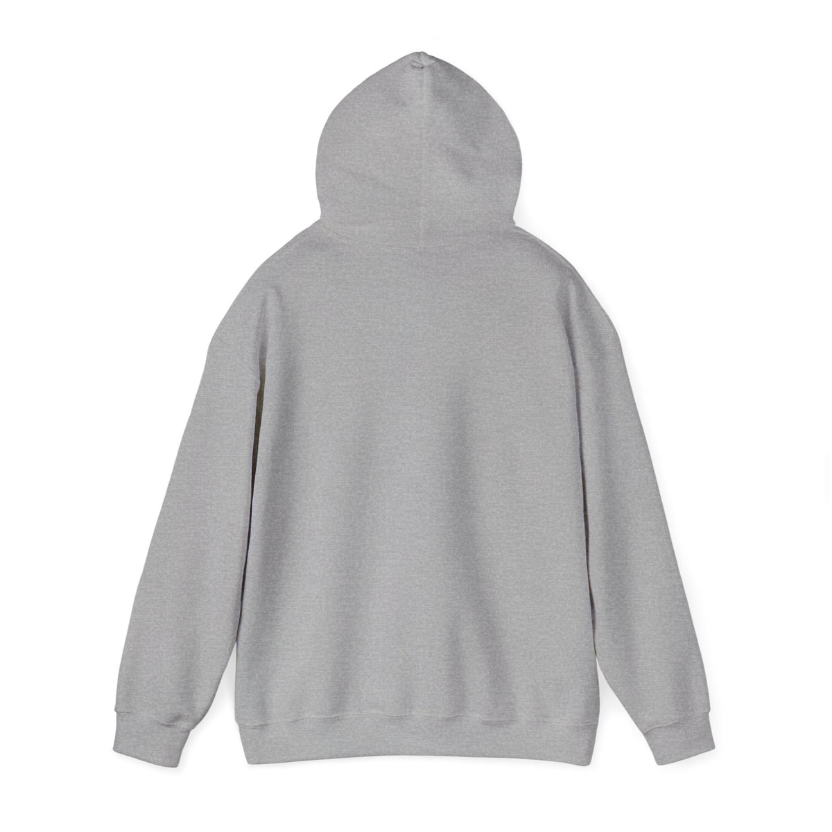 Lake Ontario North Shore Days hoodie | vintage lakeside nature graphic