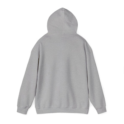 Lake Ontario North Shore Days hoodie | vintage lakeside nature graphic