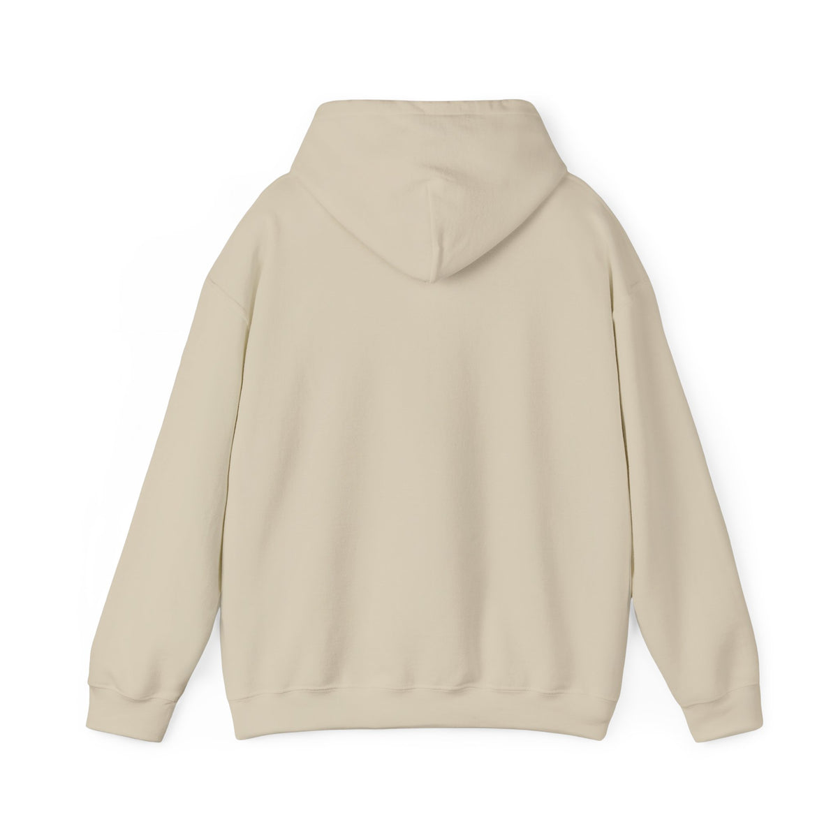 Lake Ontario North Shore Days hoodie | vintage lakeside nature graphic